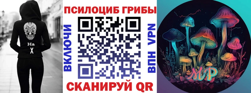 omg   Печора  Псилоцибиновые грибы прущие грибы 