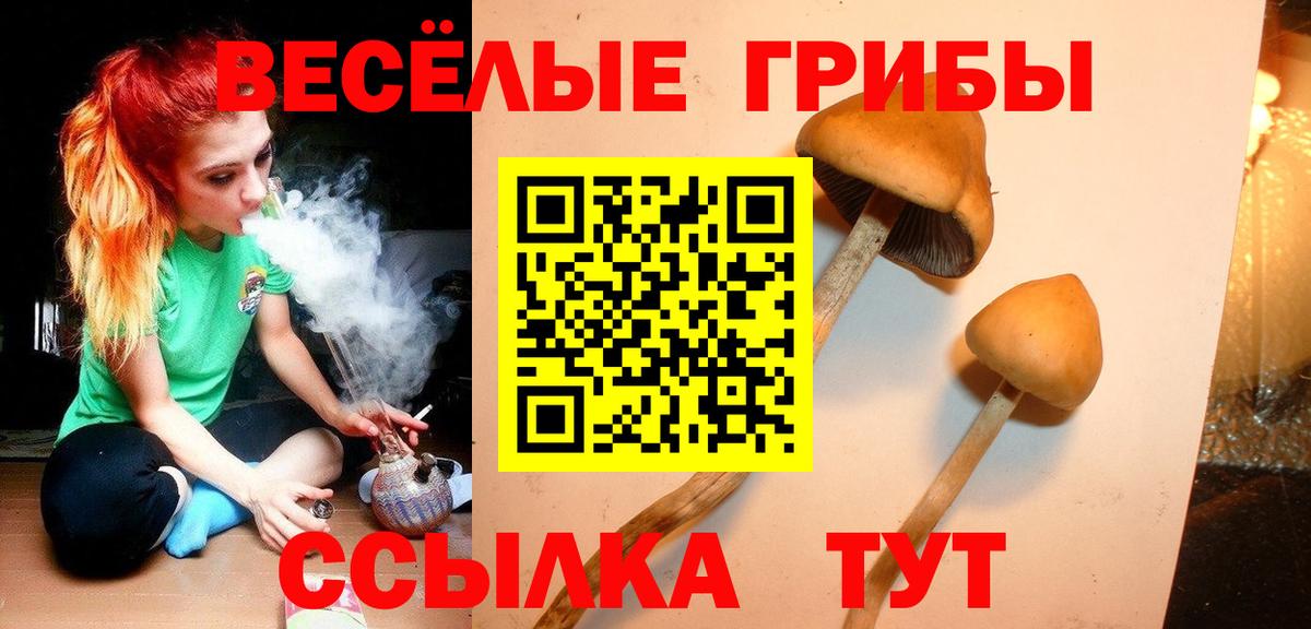Галлюциногенные грибы мицелий  Псилоцибиновые грибы Magic Shrooms  Печора  магазин  наркотиков  Вход с VPN 