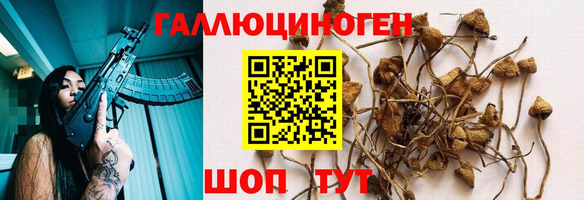 Галлюциногенные грибы прущие грибы Печора